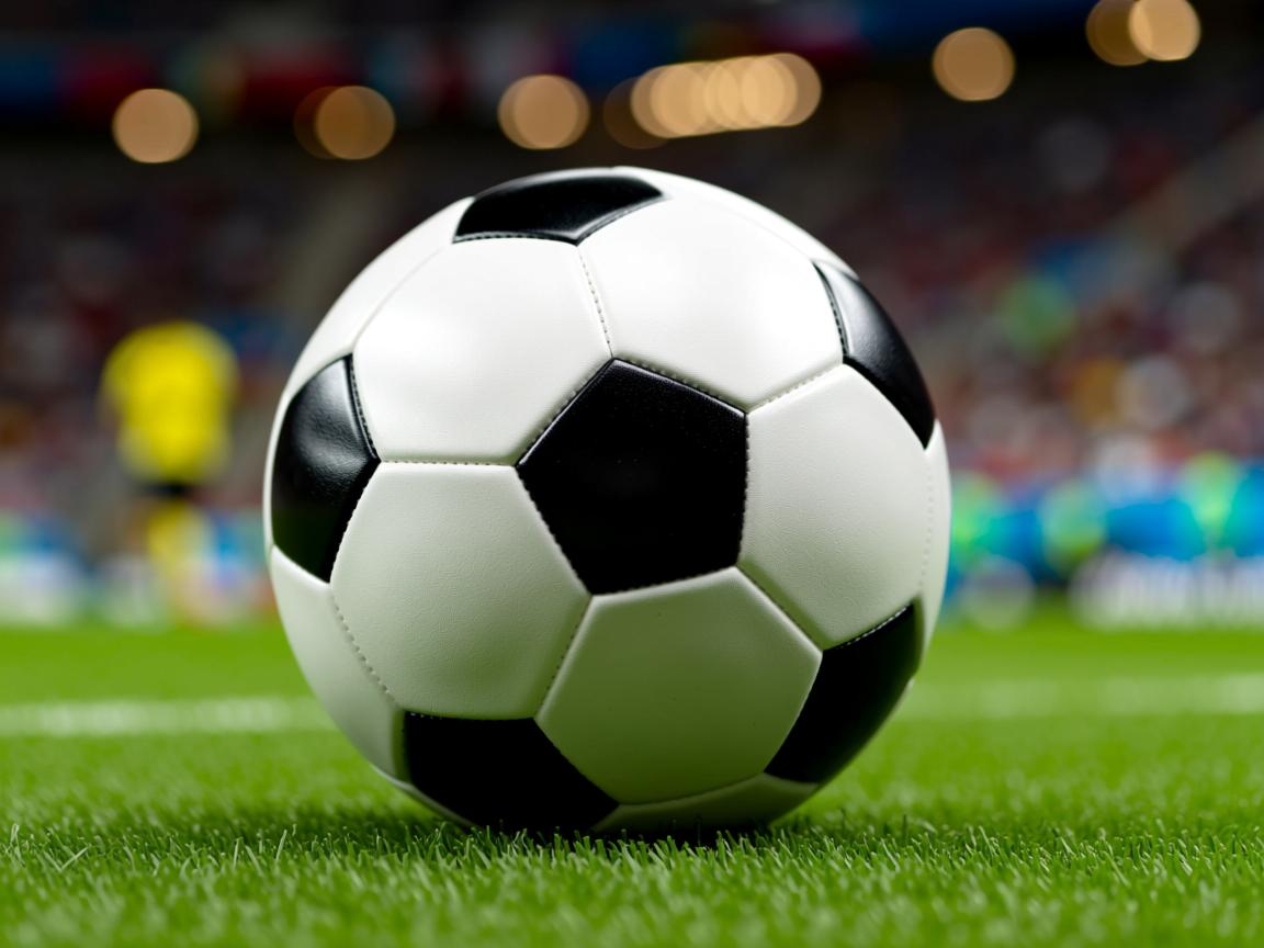 开云体育app注册-体育新闻中心发布体育短视频创作者扶持政策,创意体育短视频 第3张