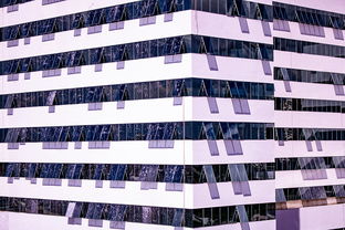 开云体育app入口-体育新闻中心推动体育赛事版权保护法律体系建设，体育赛事版权如何保护  第2张