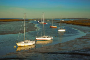 开云ky官网-兴隆湖上演“国际艇战”，多国精英争锋