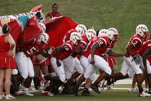 开云体育官网在线-搏击台上竞技水平持续提高,搏击台上竞技水平持续提高怎么办 第2张